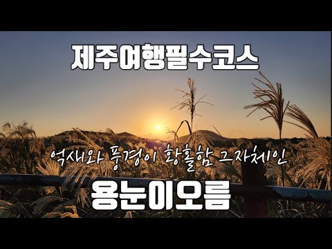 [제주여행]제주여행필수코스 억새와 풍경이 황홀함 그자체인 용눈이오름|제주여행|용눈이오름|제주억새명소|서귀포여행|다랑쉬오름|성산일츨봉|우도|지미봉