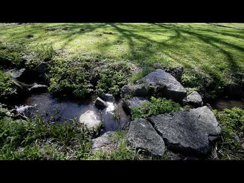 Video      Klostergarten Schmerlenbach