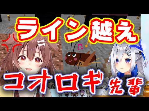 【ライン越え】ころさんのことをコオロギ先輩と呼んでしまうかなたん【ホロライブ切り抜き/天音かなた/戌神ころね】