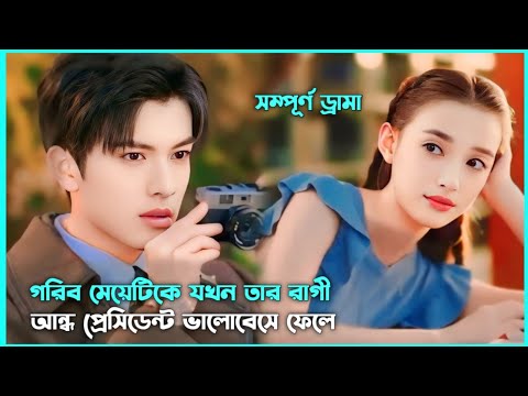 লাভ স্টোরি 💖 Maid of Blind Master Movie Explain in Bangla || Korean Drama Bangla 🟤 Movie Story SJ