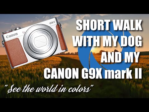 Short walk with my dog and my Canon G9X mark II