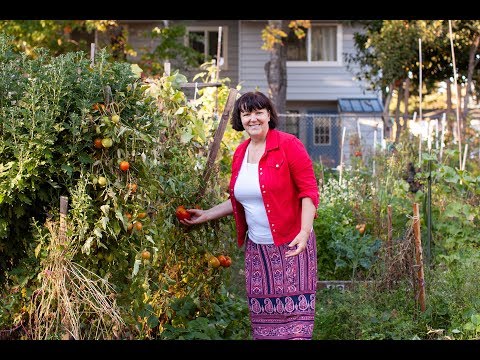 Garden Ambassador - Lilya