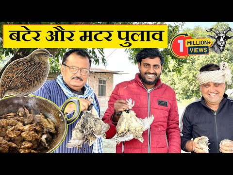 Delicious Bater and Mottor Pulav | स्वादिष्ट बटेर तथा मटर पुलाव । Full recipe | @biharifarmhouse#fo