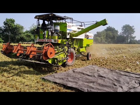 Combine Harvester l Dhan ki katai l Anand-Gujarat India