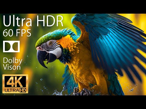 4K HDR 120fps Dolby Vision with Animal Sounds (Colorfully Dynamic) #57