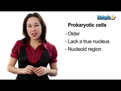 Learn Biology: Cells—Prokaryotic Cells vs. Eukaryotic Cells