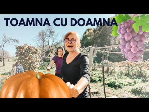 Toamna cu Doamna | Viata la tara