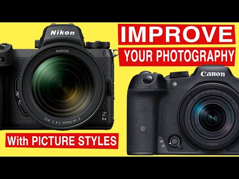 How to use the most underrated camera feature to improve your photos - photography for beginners.