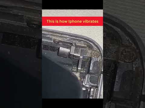 This is how Iphone vibrates #shorts #amazingfacts #mobilephone #cellphone #iphone #unknownfacts #fun