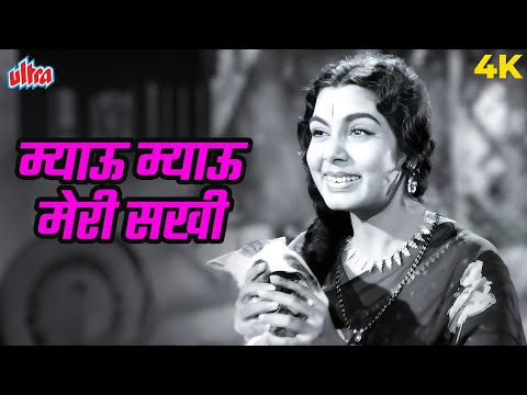 Meow Meow Meri Sakhi (मियाऊं मियाऊं मेरी सखी) 4K Song | Lata Mangeshkar | Pooja Ke Phool