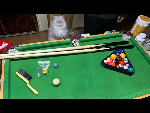 [미니 당구대] 포켓볼 , small billiards , mini pool table