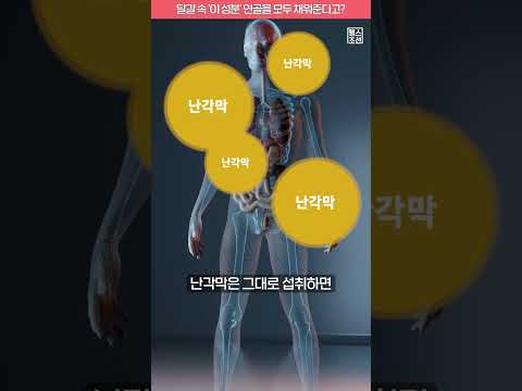 달걀 속 난각막은 연골세포 생성 증가 시켜