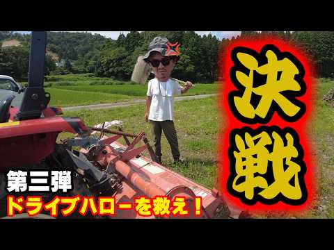 ドライブハローを貰った結果、大変なことに！(RICE IS COMEDY®︎)