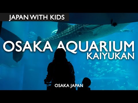 Osaka Aquarium Kaiyukan In Japan Is Amazing