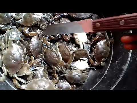 Health Benefits of Crabs/How to Prepare it. #naturelovers #seafood #nigeria #seafoods #seafoodboil