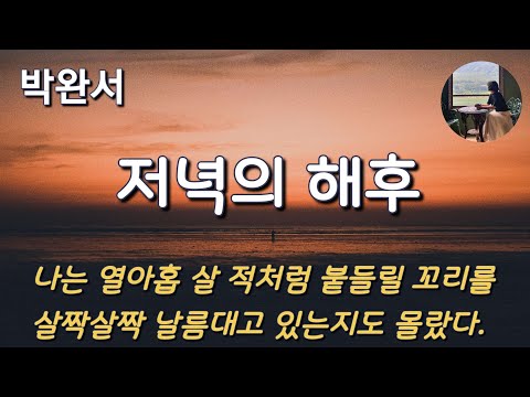 [저녁의 해후_박완서] 잃어버린 것, 부재하는 것에 대한 슬프디 슬픈 사랑법.