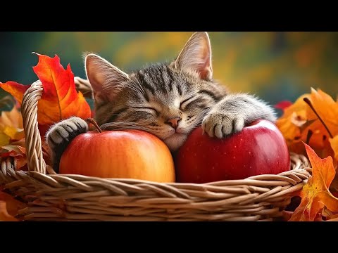 12 Hours Of Music For Cat to Fall Into Deep Sleep🐈Stress Relief♬ Heal Stress For Cat Soothing Piano