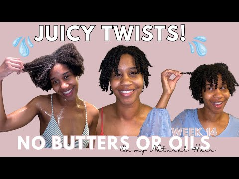 Natural Hair Detox: Week 14 of No Raw Butters & Oils | Juicy Twists! | Gabrielle Ishell