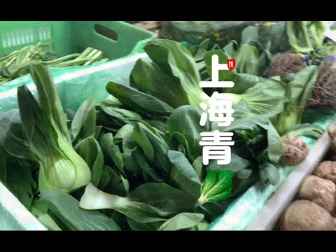 家常菜 上海青 油菜 老少皆宜