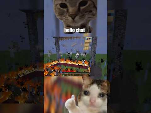 They’re eating the Cats Minecraft edition #gifs #catmeme #springfield #memes #parody