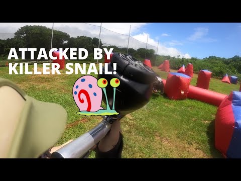 SHOCKER XLS SPEEDBALL GAMEPLAY | ATTACKED BY KILLER SNAIL