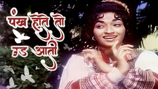 Pankh Hote To Udd Aati | Lata Mangeshkar Songs | Sandhya | V Shantaram | Sehra 1963