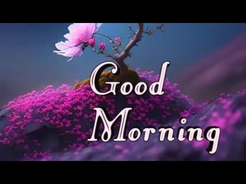 Ep-72/Good morningwishes with Beautiful images/Goodmorningvideostatus.subscribe @smilingthulasi3686