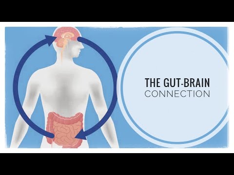 The Science of the Gut-Brain Connection