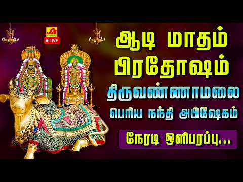 🔴  LIVE திருவண்ணாமலை ஆடி  மாத  பிரதோஷம் பெரிய  நந்தி அபிஷேகம் மற்றும் ஆராதனை  #liveproadhasham #live