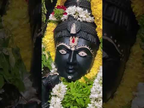 ವೈಕುಂಠ ಏಕಾದಶಿ | Govinda | Narayana | Krishna #song #love #music