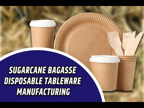 Webinar on Sugarcane Bagasse Disposable Tableware Manufacturing Business