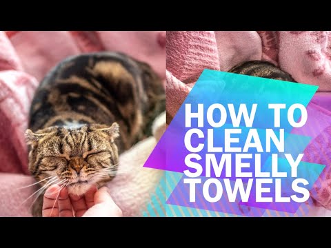 How to clean towels and stop towels becoming smelly