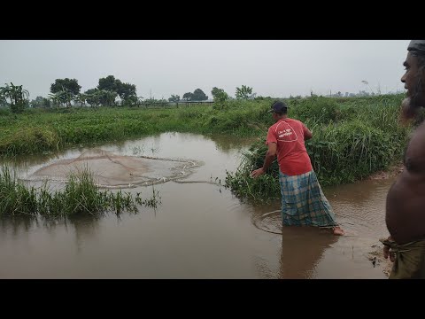 Cast Net Fishing In River