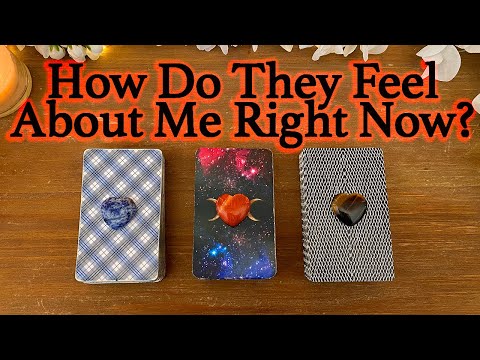 💕WHAT DOES HE/SHE THINK AND FEEL ABOUT ME RIGHT NOW?💕| 🔮Pick A Card🔮 | Love Tarot Reading (Timeless)