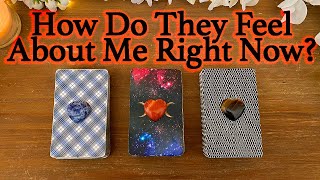 💕WHAT DOES HE/SHE THINK AND FEEL ABOUT ME RIGHT NOW?💕| 🔮Pick A Card🔮 | Love Tarot Reading (Timeless)