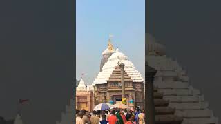 #purijagannathtemple #jayjagannath #purijagannadh #jagannath #lordjagannath