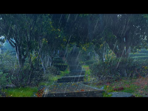 🔰【White Noise】Asmr real thunderstorm sound in the woods, sleep aid sleep music, ambient sound