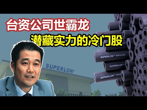 冷门股的爆发！世霸龙Superlon如何实现盈利暴涨5倍？