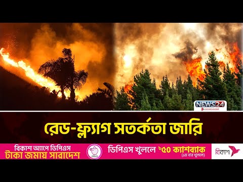 ফের দাবানলের কবলে লস অ্যাঞ্জেলেস | News24