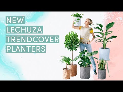 Introducing New Lechuza Trendcover Self-watering Planters