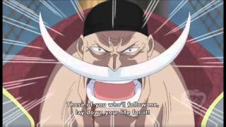 Whitebeard starts to charge