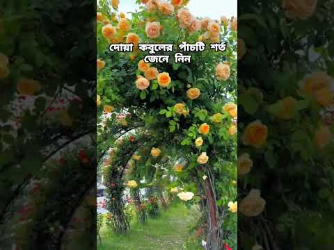 দোয়া কবুলের পাঁচটি শর্ত #waz #mijanur_rahman_ajhari #highlights #everyone #islamic