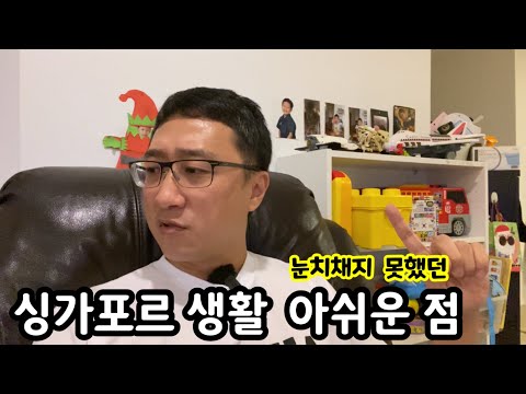 예상치 못한 싱가포르 생활의 아쉬운 점 | 이민 생활