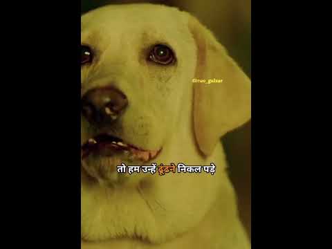 Dog Lover🥺❤️ #doglover #sad #dog #shortvideo #shorts