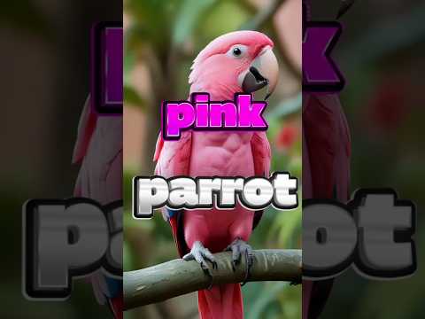 🦜🚨EndangeredSpeciesAlert:Pink Cockatoos in Danger#SaveThePinkCockatoos#ProtectOurWildlife#DidYouKnow