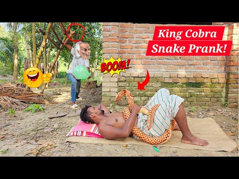 Scary King Cobra Big Snake Prank On Rest Man! | Funniest Joke Video For Laughing