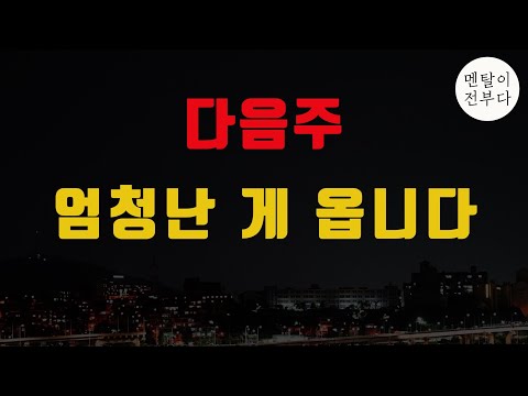 다음주 비트코인에 엄청난 일이 일어날 거 같습니다.