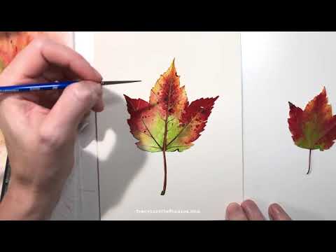 Green Red and Yellow Watercolor Leaf Painting