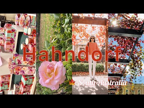 May in Adelaide🍁 Vlog ｜Hahndorf & Mt Lofty Gardon &, good food, Myer haul 澳洲南澳阿德莱德游｜德国村｜植物园