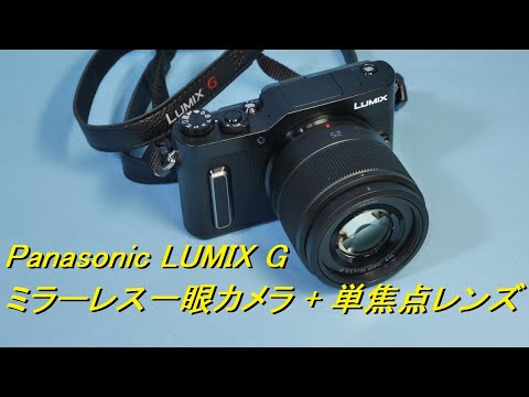 ミラーレス一眼カメラ LUMIX G（DC-GF10W-K）購入